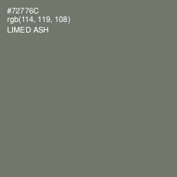 #72776C - Limed Ash Color Image